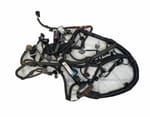 2015 Toyota 4Runner Wire Harness (engine)