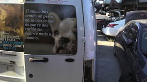 2012 Ford Transit