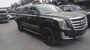 2020 Cadillac Escesv
