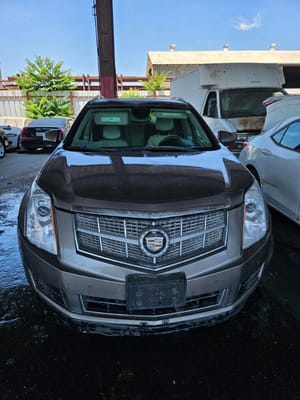 2011 Cadillac Cadsrx
