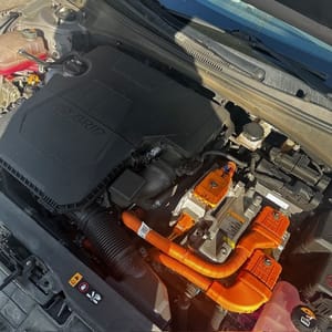2022 Hyundai Elantra Decklid Tailgate