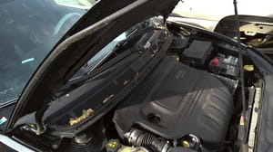 2013 Chrysler Dart