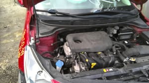 2019 Kia Rio