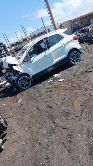 2021 Ford Ecosport