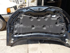 2019 Ford Edge Hood