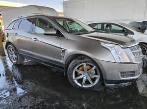 2011 Cadillac Cadsrx