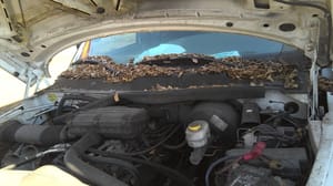 2001 Dodge Dpu15