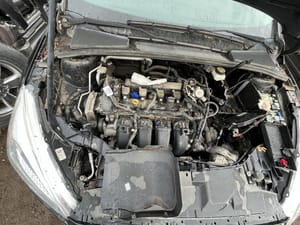 2017 Ford Focus Grille