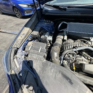 2022 Subaru Subwrx