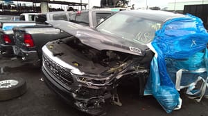 2020 Dodge Dpu15