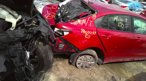 2019 Kia Rio