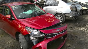 2019 Kia Rio