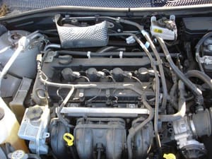 2010 Ford Focus
