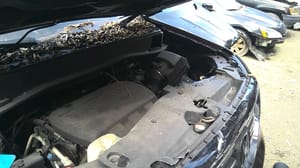 2012 Honda Pilot