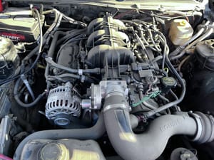 2008 Ford Mustang
