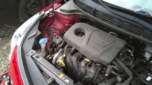 2019 Kia Rio