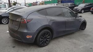 2020 Tesla Model Y