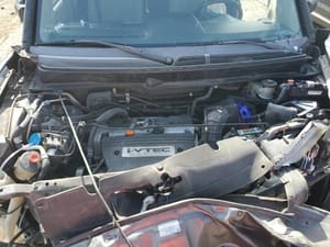 2010 Honda Element