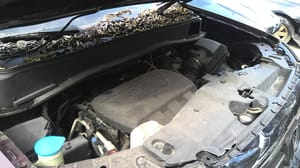 2012 Honda Pilot