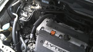 2005 Honda Element