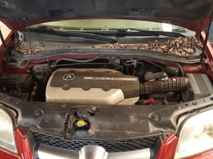 2004 Acura Mdx Engine