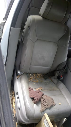 2011 Honda Pilot