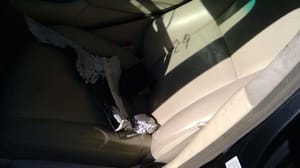 2010 Lexus Ls460