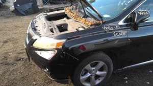 2010 Lexus Rx350