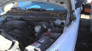 2001 Dodge Dpu15