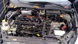 2009 Ford Focus