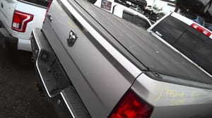 2018 Dodge Dpu15