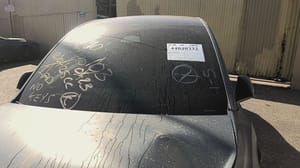 2021 Tesla Model Y Windshield Glass