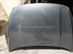 2020 Ford Escape Hood