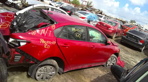 2019 Kia Rio