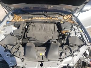 2014 Jaguar Xf Engine