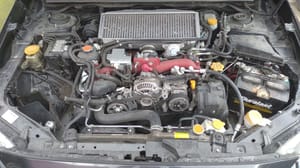 2017 Subaru Subwrx