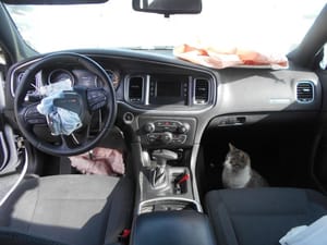 2015 Dodge Charger