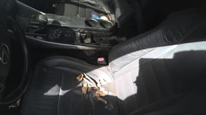 2014 Lexus Is350