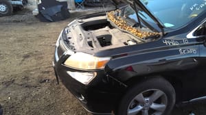 2010 Lexus Rx350