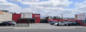 Phoenix SB
