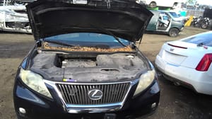 2010 Lexus Rx350