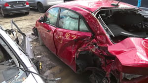 2019 Kia Rio