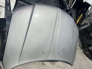 2009 Lincoln Mkz Hood