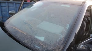 2021 Jeep Compass Windshield Glass