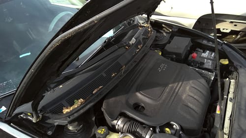 2013 Chrysler Dart