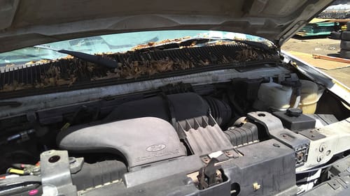 2007 Ford E-150