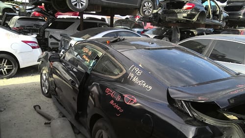 2019 Ford Mustang