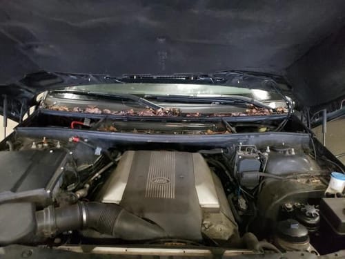 2005 Range Rover Range Rover