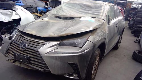 2021 Lexus Nx300