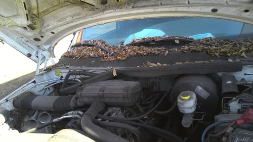 2001 Dodge Dpu15